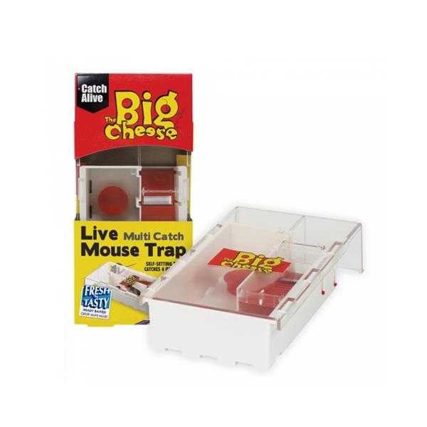 The Big CheeseMulti Mouse LIVE CATCH Trap SMALL ( Traps 4 Mice )